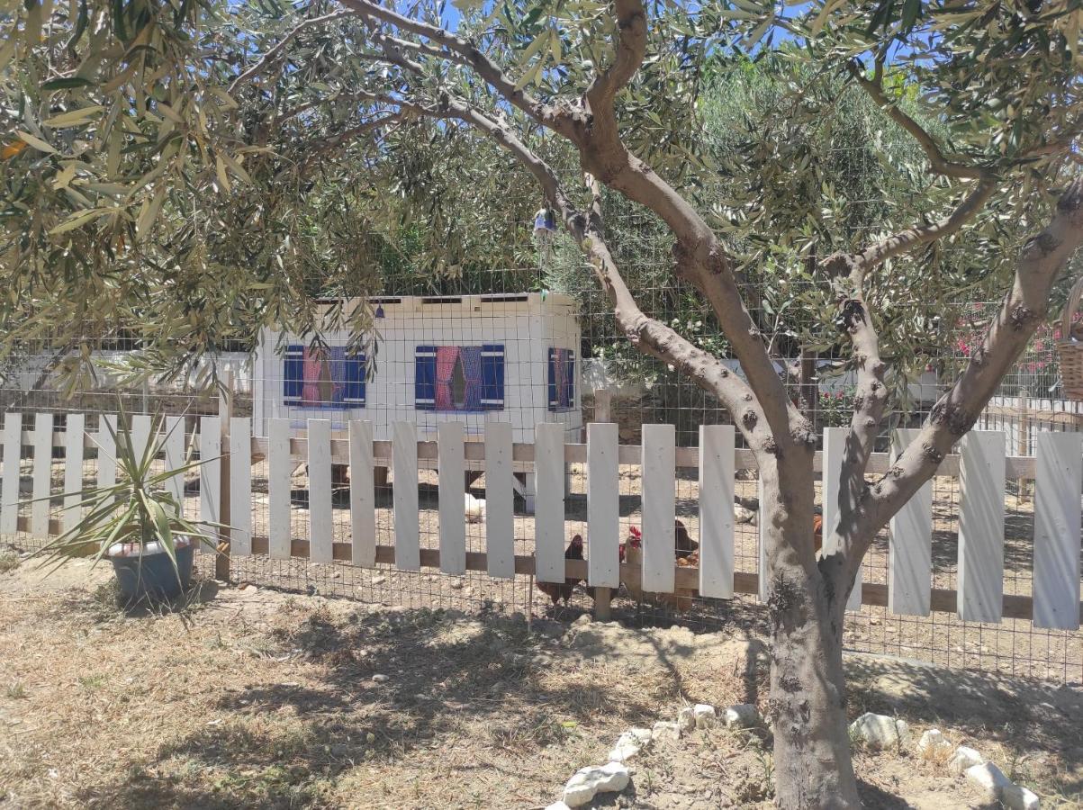 Villa Le Grand Bleu Katápola Dış mekan fotoğraf